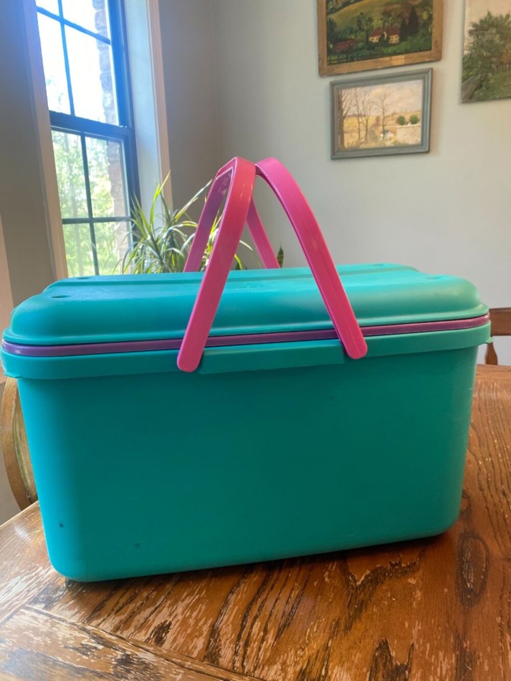 Vintage Retro Eagle Craftstor 20" Sewing Craft Tote Picnic Basket Pink & Teal